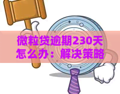 微粒贷逾期230天怎么办：解决策略与后果分析