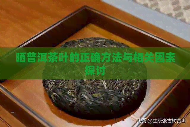 晒普洱茶叶的正确方法与相关因素探讨