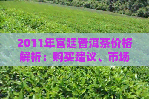 2011年宫廷普洱茶价格解析：购买建议、市场走势与品鉴要点一网打尽