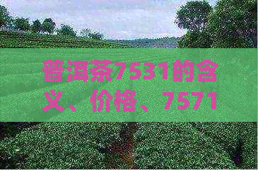 普洱茶7531的含义、价格、7571与7541的区别以及7572的等级，请简述。