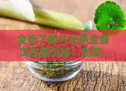 全面了解八马茶业普洱生茶价格：品质、产地、口感等多方面分析与比较