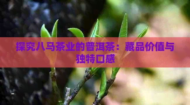 探究八马茶业的普洱茶：藏品价值与独特口感