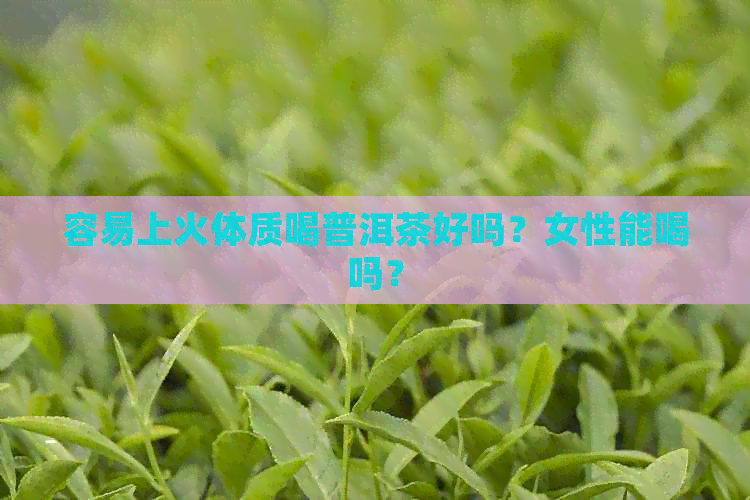 容易上火体质喝普洱茶好吗？女性能喝吗？