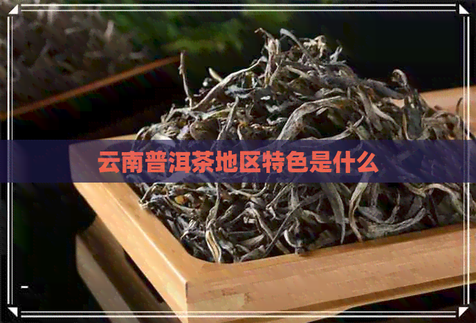 云南普洱茶地区特色是什么