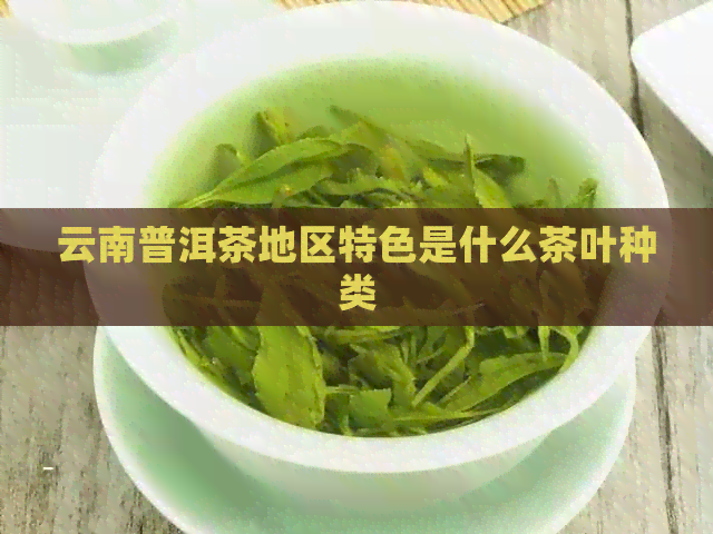 云南普洱茶地区特色是什么茶叶种类