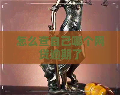 怎么查自己哪个网贷逾期了