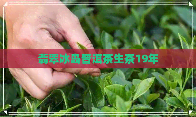 翡翠冰岛普洱茶生茶19年