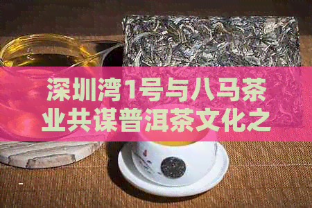 深圳湾1号与八马茶业共谋普洱茶文化之旅：探寻记号茶香的秘密基地