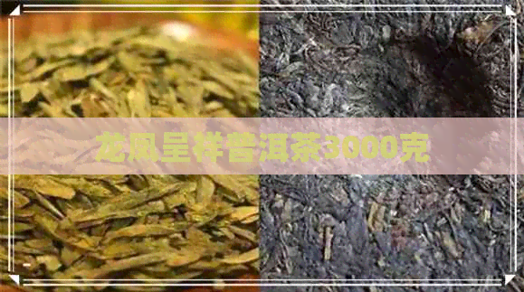 龙凤呈祥普洱茶3000克