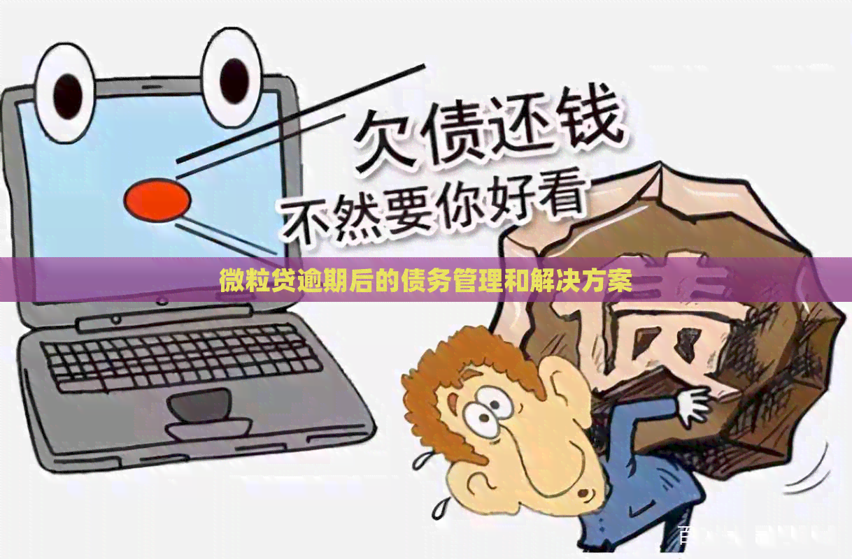 微粒贷逾期后的债务管理和解决方案