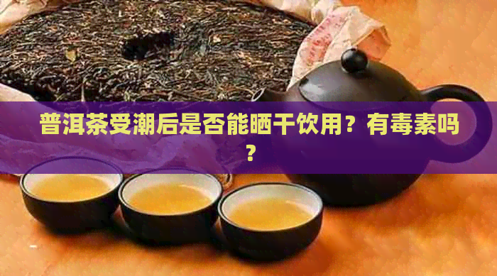 普洱茶受潮后是否能晒干饮用？有素吗？