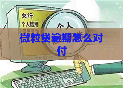 微粒贷逾期怎么对付