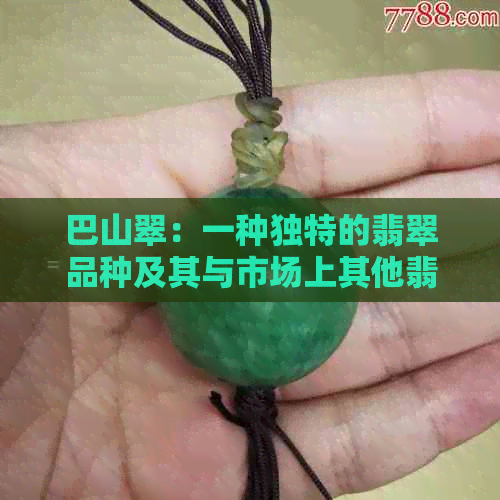 巴山翠：一种独特的翡翠品种及其与市场上其他翡翠的区别