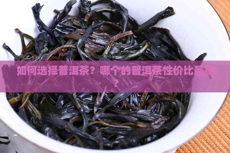 如何选择普洱茶？哪个的普洱茶性价比更高？