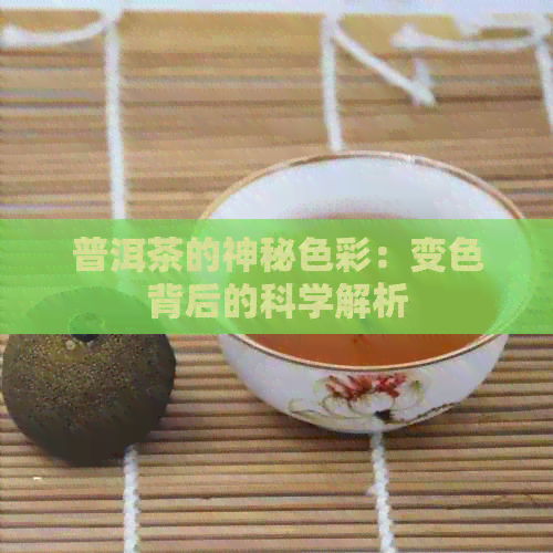 普洱茶的神秘色彩：变色背后的科学解析