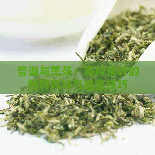 普洱与黑茶：两种茶叶的独特风味与品鉴技巧