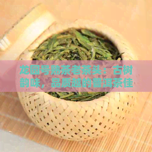 龙园号熟茶老茶头：古树韵味，品质越的普洱茶佳品