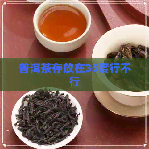 普洱茶存放在35度行不行