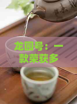 龙园号：一款荣获多项国际大奖的专业普洱茶