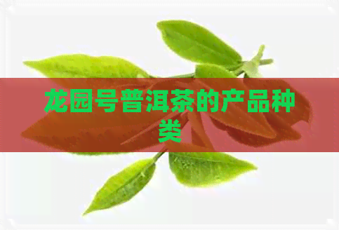 龙园号普洱茶的产品种类