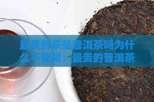 最贵的茶是普洱茶吗为什么不能喝：最贵的普洱茶叶排行榜及价格