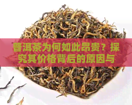 普洱茶为何如此昂贵？探究其价格背后的原因与种类