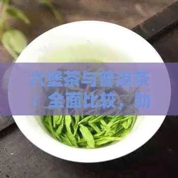 六堡茶与普洱茶：全面比较，助您找到最适合您的茶品