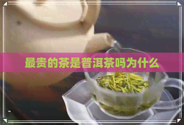 最贵的茶是普洱茶吗为什么