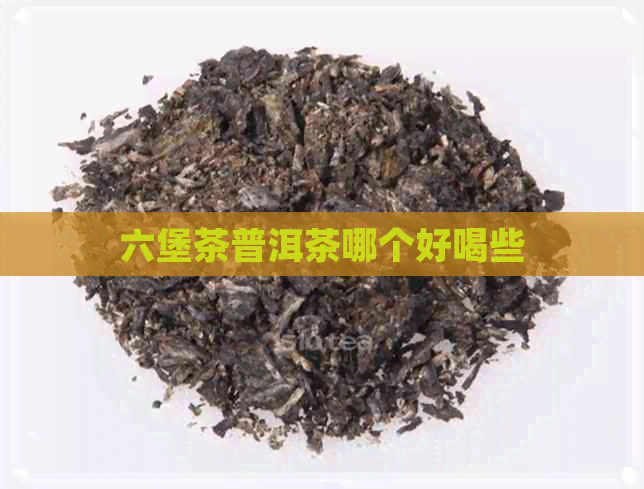 六堡茶普洱茶哪个好喝些