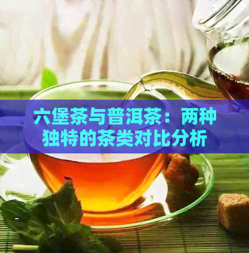 六堡茶与普洱茶：两种独特的茶类对比分析