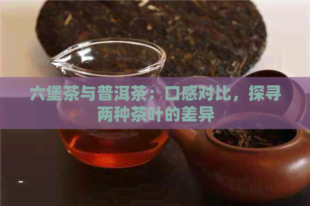 六堡茶与普洱茶：口感对比，探寻两种茶叶的差异