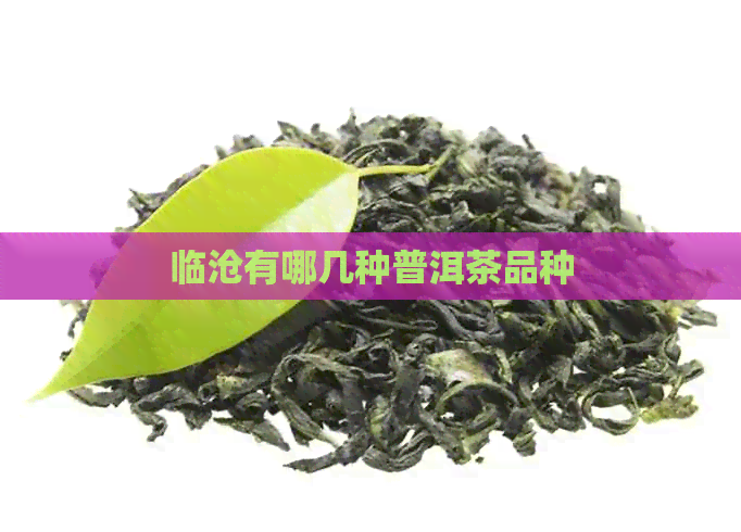 临沧有哪几种普洱茶品种