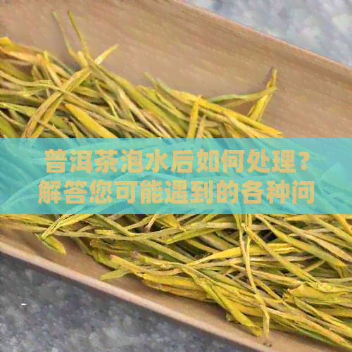 普洱茶泡水后如何处理？解答您可能遇到的各种问题