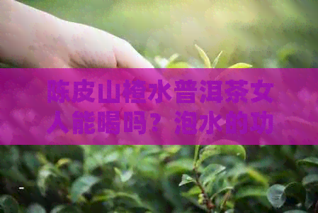 陈皮山楂水普洱茶女人能喝吗？泡水的功效与减肥效果及适宜饮用量。