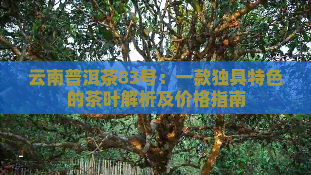 云南普洱茶83号：一款独具特色的茶叶解析及价格指南