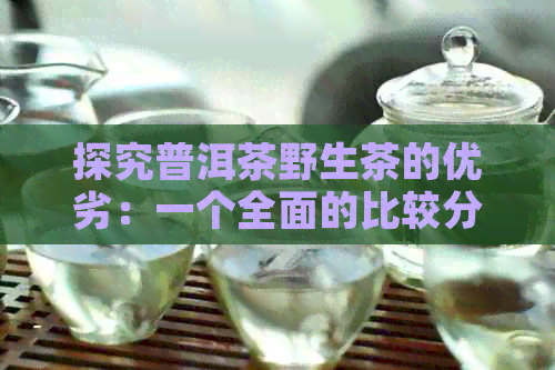 探究普洱茶野生茶的优劣：一个全面的比较分析