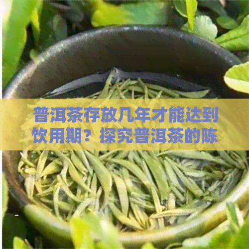 普洱茶存放几年才能达到饮用期？探究普洱茶的陈化过程与好喝程度