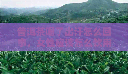 普洱茶喝了出汗怎么回事，女性应该怎么饮用？