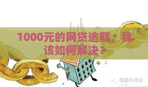 1000元的网贷逾期，我该如何解决？