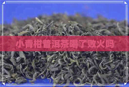 小青柑普洱茶喝了败火吗