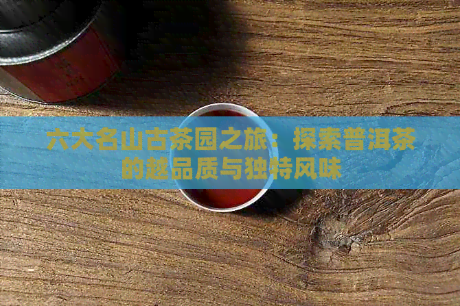 六大名山古茶园之旅：探索普洱茶的越品质与独特风味