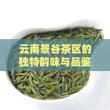 云南景谷茶区的独特韵味与品鉴技巧