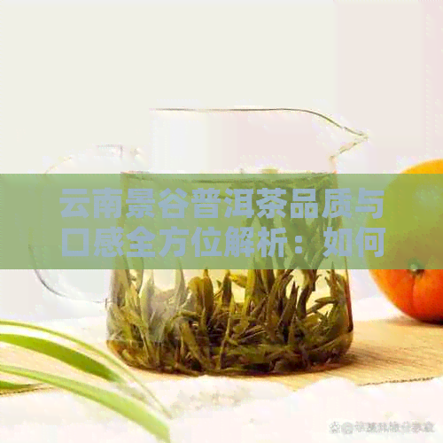 云南景谷普洱茶品质与口感全方位解析：如何选购和品鉴？