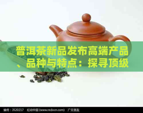 普洱茶新品发布高端产品、品种与特点：探寻顶级品鉴之路