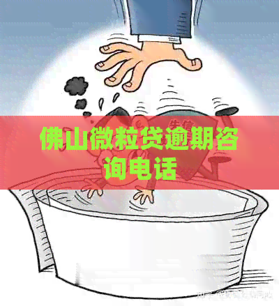 佛山微粒贷逾期咨询电话