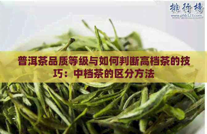 普洱茶品质等级与如何判断高档茶的技巧：中档茶的区分方法