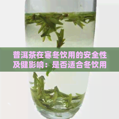 普洱茶在寒冬饮用的安全性及健影响：是否适合冬饮用？有吗？