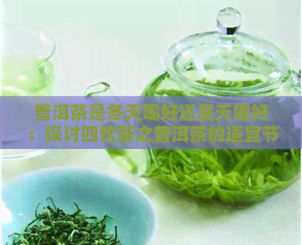 普洱茶是冬天喝好还是天喝好：探讨四饮茶之普洱茶的适宜节