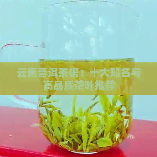 云南普洱茶榜：十大知名与高品质茶叶推荐