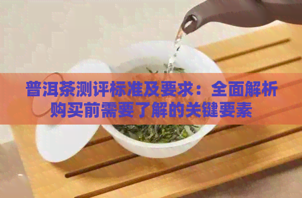 普洱茶测评标准及要求：全面解析购买前需要了解的关键要素